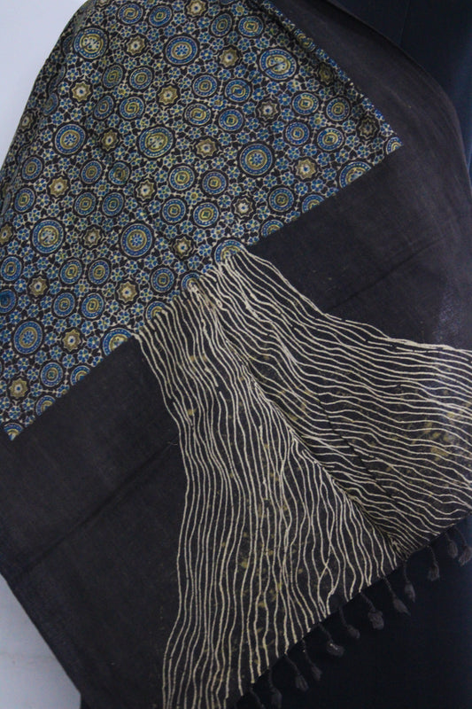 โSHAKHAโ (The branches)